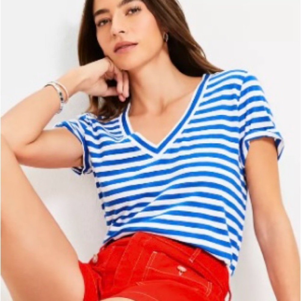 NWT LOFT Blue and White Striped V-Neck Tee